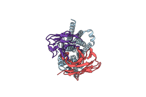 8TTH image