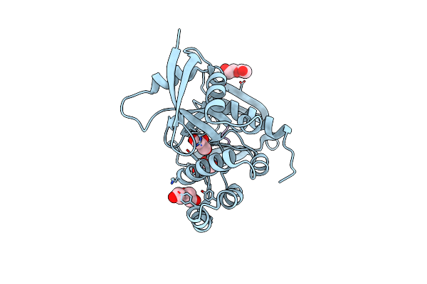 8TTU image