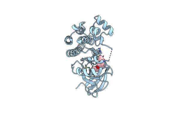8TU3 image