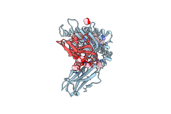 8TUH image