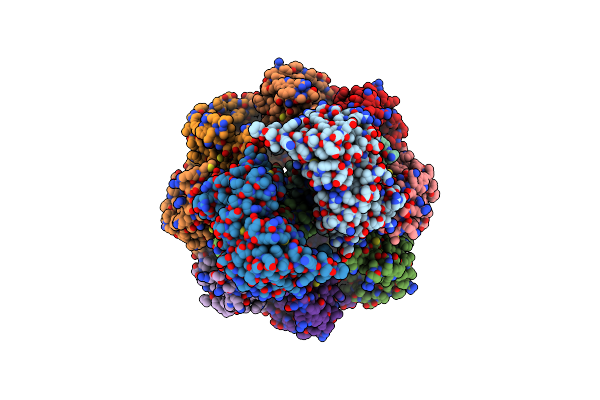 8TUN image