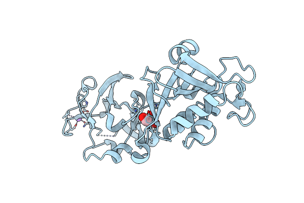 8TW1 image