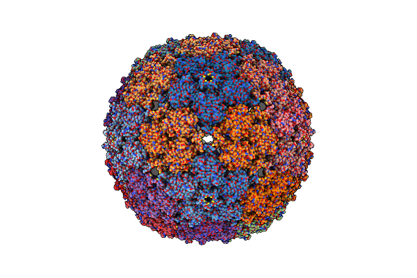 8TW2 image
