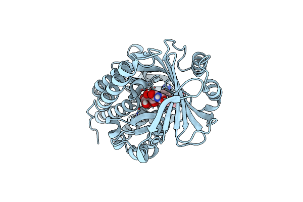 8TWG image