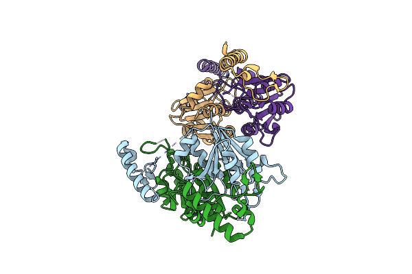 8TXA image