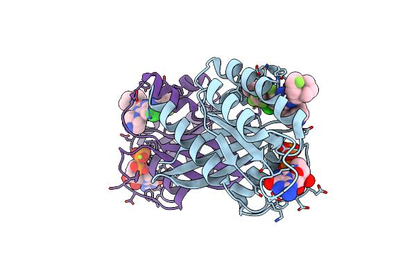 8TXE image
