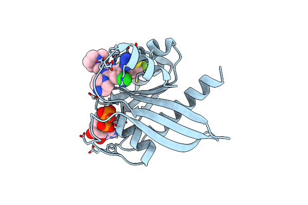 8TXG image