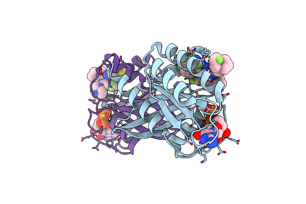 8TXH image