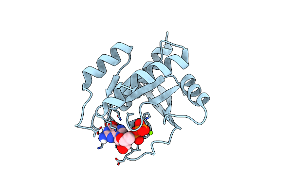 8TXJ image