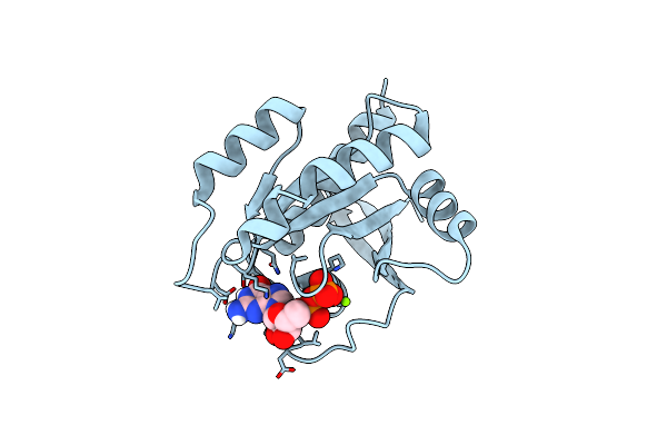 8TXK image