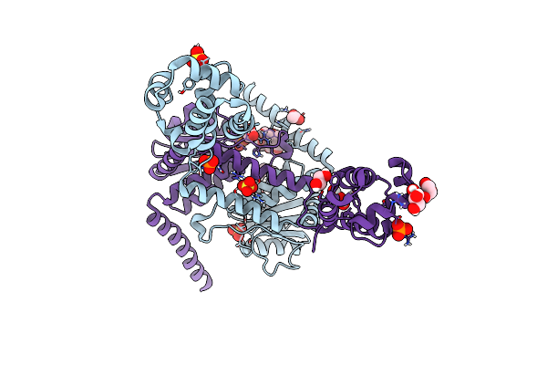 8TXL image