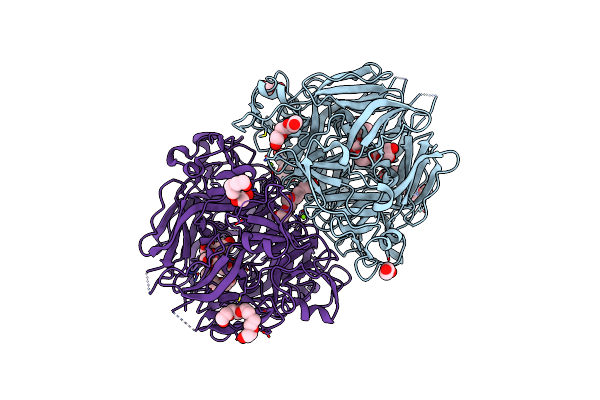 8TXN image