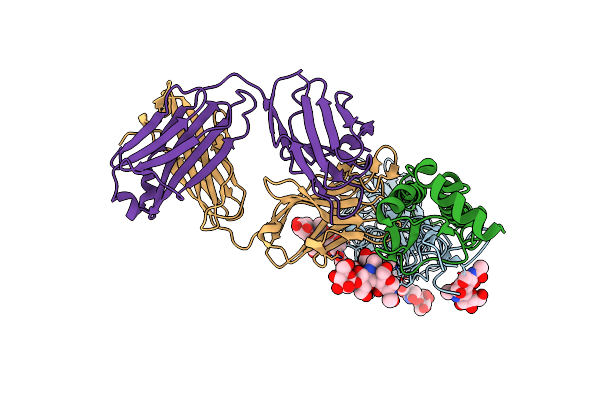 8TXP image