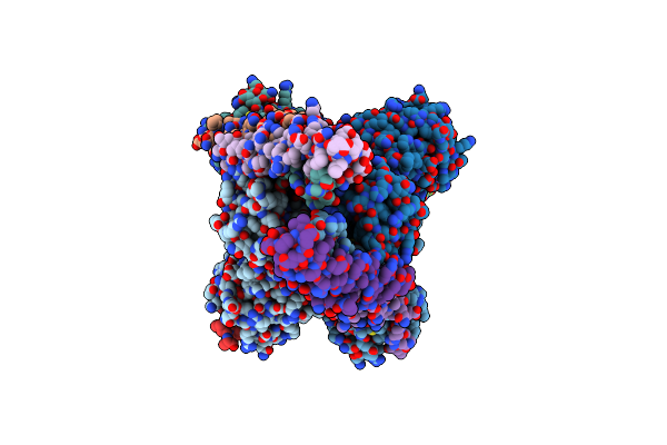 8TXR image