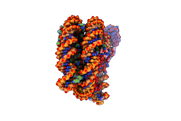 8TXV image