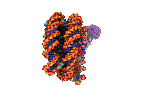 8TXW image