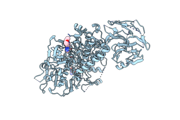 8TXZ image