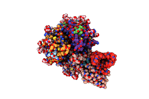 8TYC image