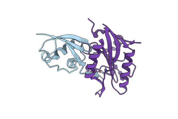 8TYX image