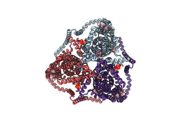 8TZ1 image