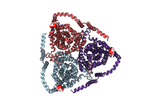 8TZ2 image