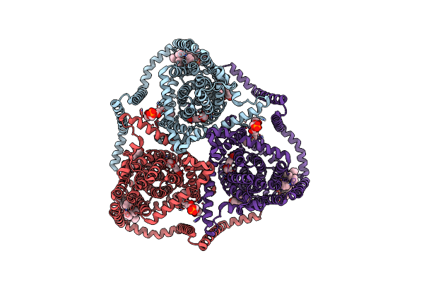 8TZ5 image