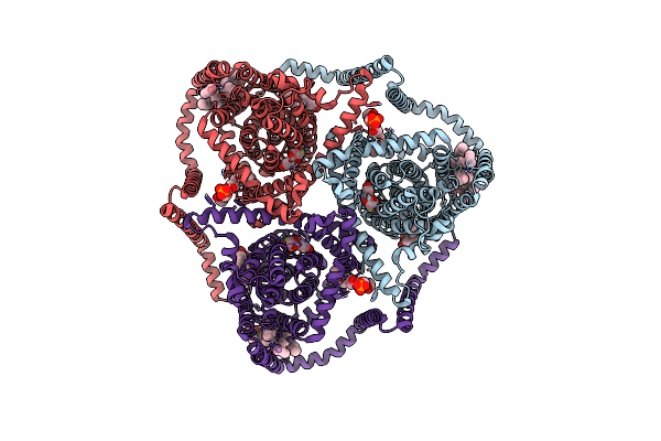 8TZ6 image