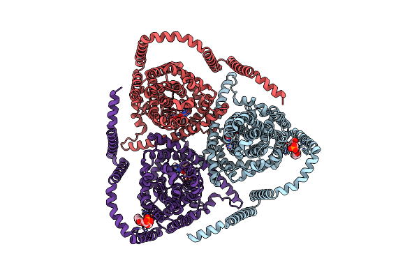 8TZ8 image