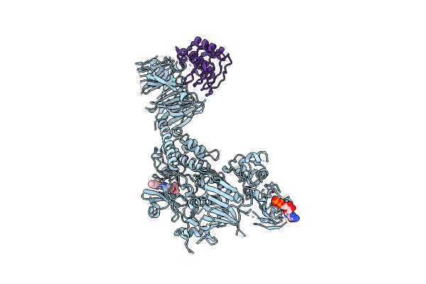 8TZC image