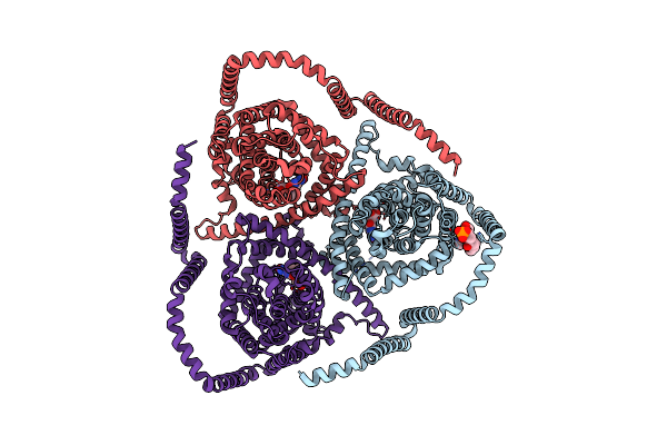 8TZD image