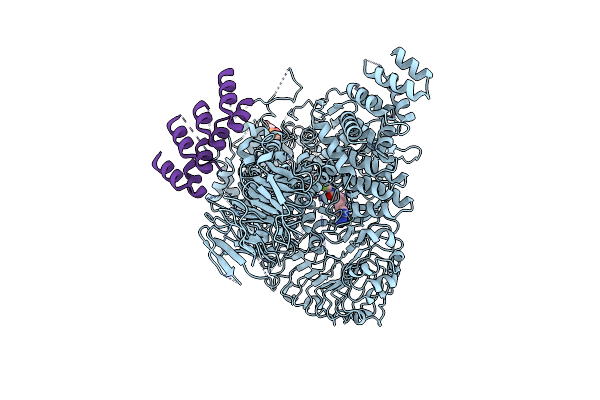 8TZF image