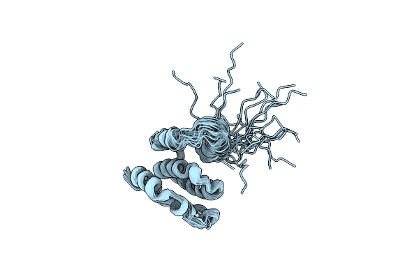 8TZM image