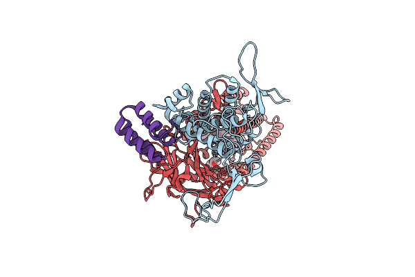 8TZP image