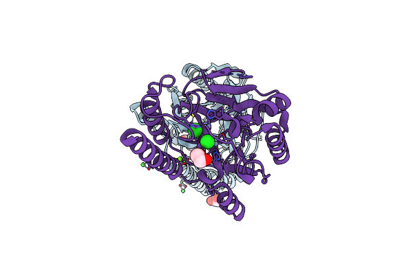 8U00 image