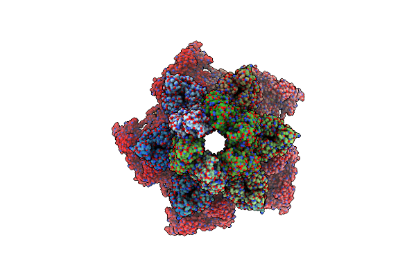 8U10 image