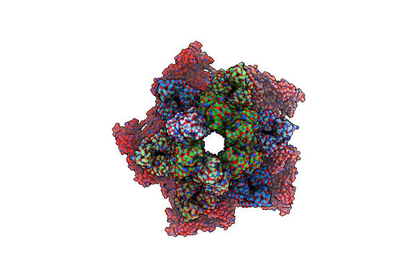 8U11 image