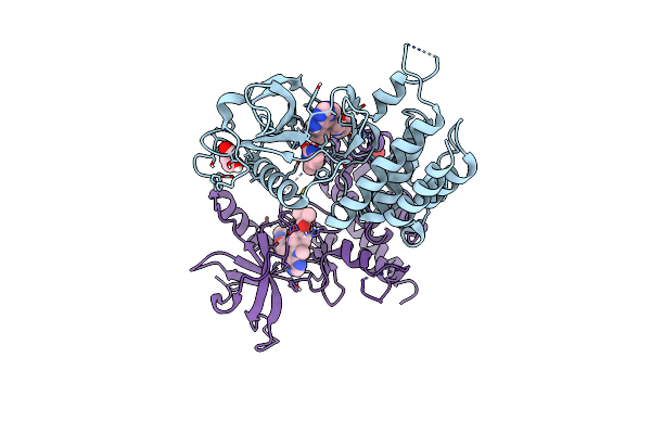 8U1F image