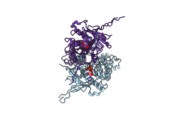 8U1M image
