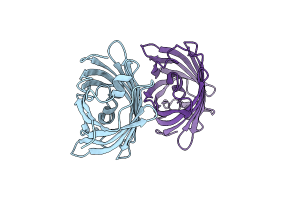 8U20 image