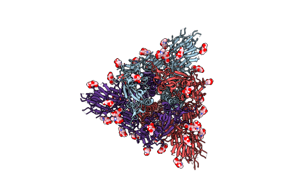 8U28 image