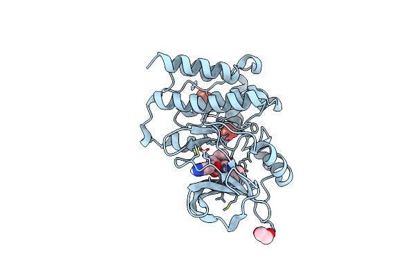 8U2D image
