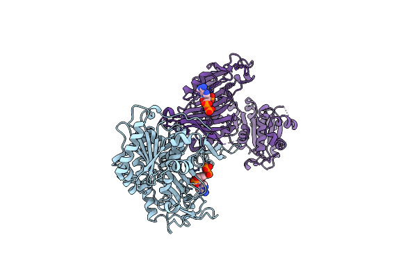 8U2W image