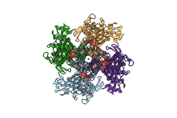 8U2Z image