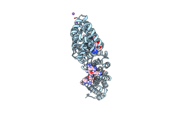 8U36 image
