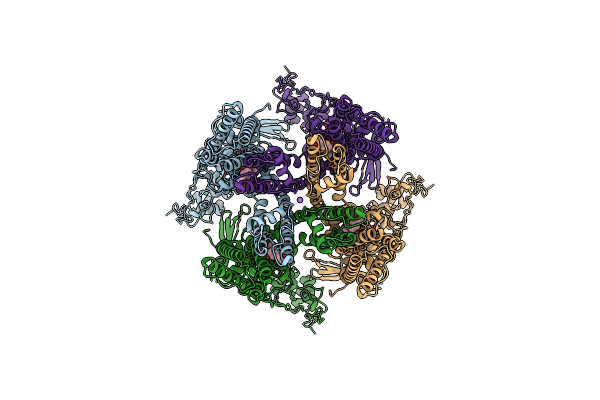 8U4D image
