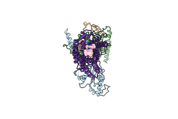 8U4P image