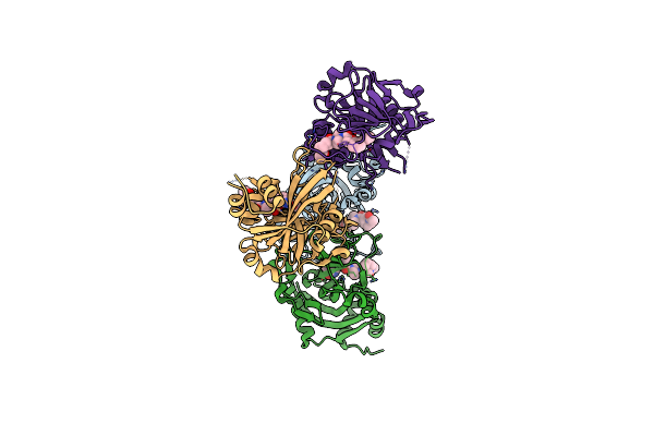 8U4W image