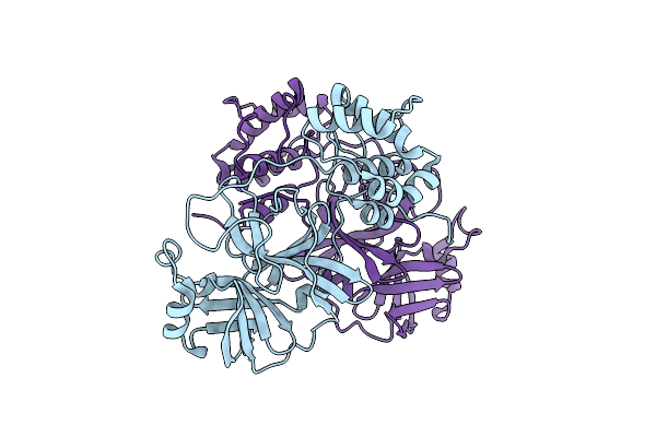 8U4Y image