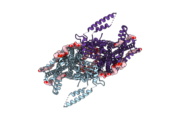 8U53 image