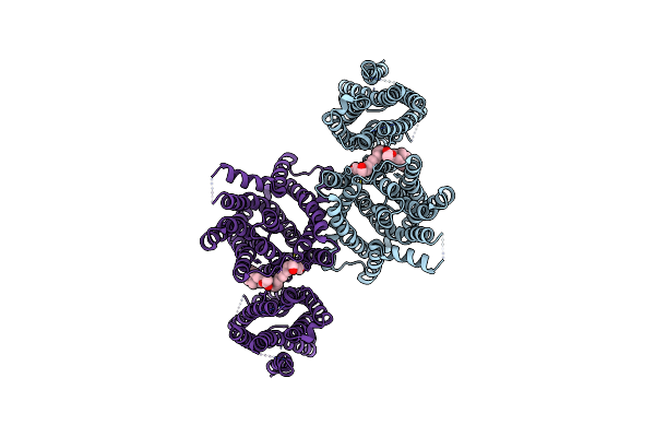 8U56 image